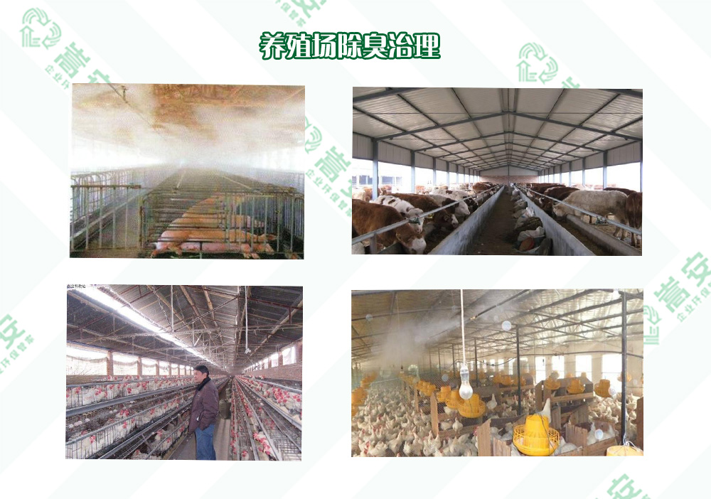 ���ϳ��􄩏S�������Ч��Q�B(y��ng)ֳ����ζ���}�����I(y��)ָ�ρ���