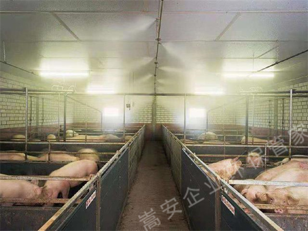 �B(y��ng)ֳ��(ch��ng)��γ������Խ������󻼲��L(f��ng)�U(xi��n)���������Ч�����e(cu��)